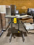 Westar S/S Conveyor with Drive and Controls, Dimensions = 36" x 12" (Location: Rice Lake, WI) - Rigg