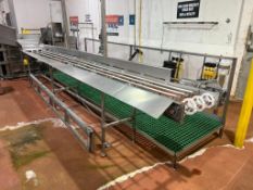 S/S Frame Conveyor 18' x 20" with S/S Clad Drive and 224" x 4' S/S famed Platform with Railing