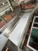 S/S Framed Conveyor with 4' x 2' S/S Framed Platform with Ladder, Dimensions= 92' x 24' - Rigging Fe