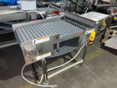 D&F S/S Framed Smart Conveyor with S/S Clad Drive, Dimensions= 42 x 27 - Rigging Fee: $400