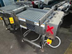 D&F S/S Framed Smart Conveyor with S/S Clad Drive, Dimensions= 32 x 22 - Rigging Fee: $400