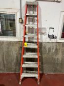 Louisville 8' Fiberglass Ladder - Rigging Fee: $100