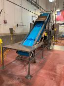Advance Food Company 13' x 2', S/S Framed Elevator Conveyor with Casters