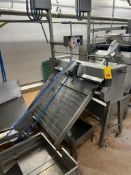 S/S Elevator Conveyor with Rubber Roller Press and Controls - Rigging Fee: $500