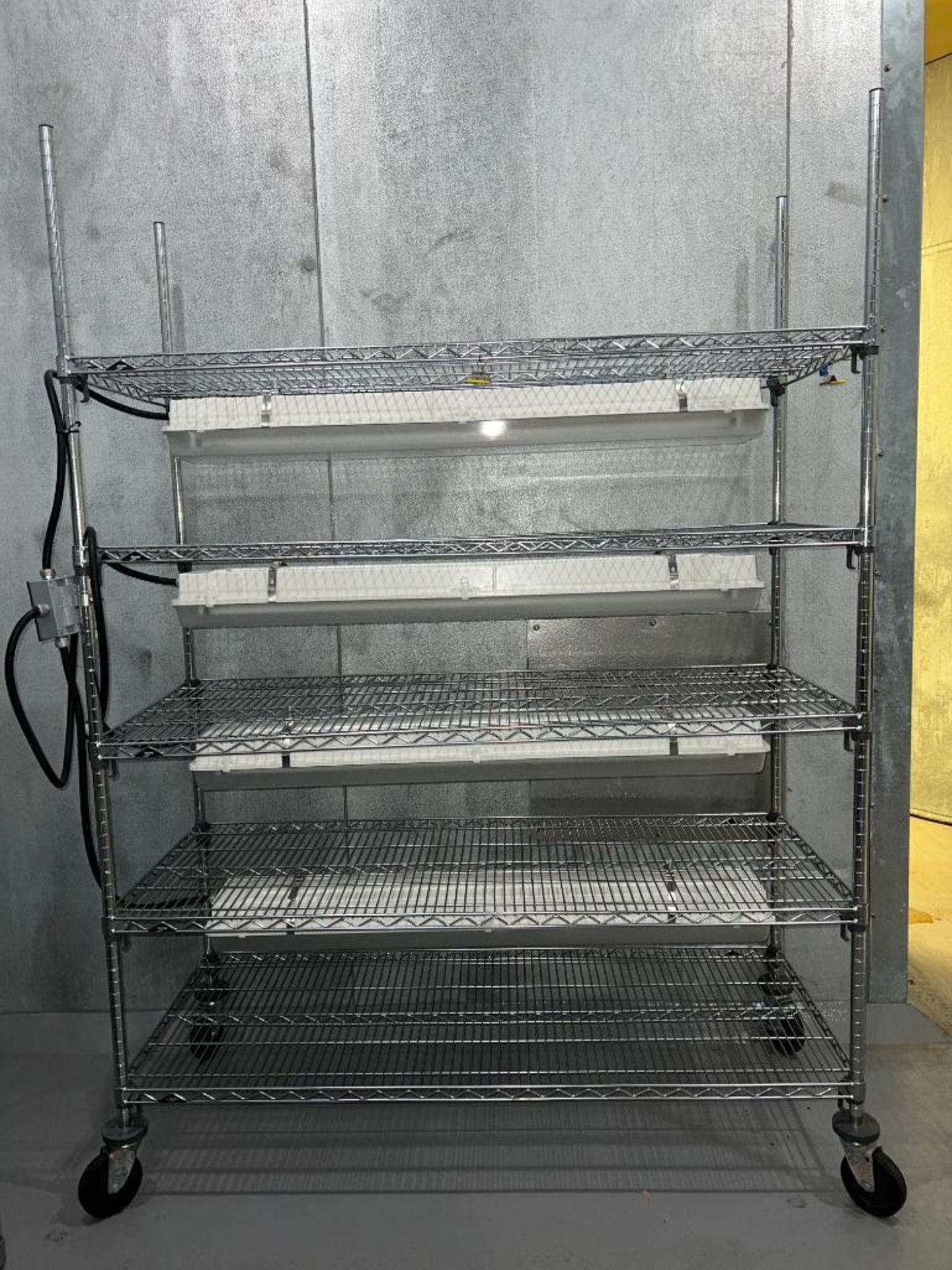 S/S Mobile Racks with (4) Fluorescent Ballasts - Rigging Fee: $100 - Image 2 of 2