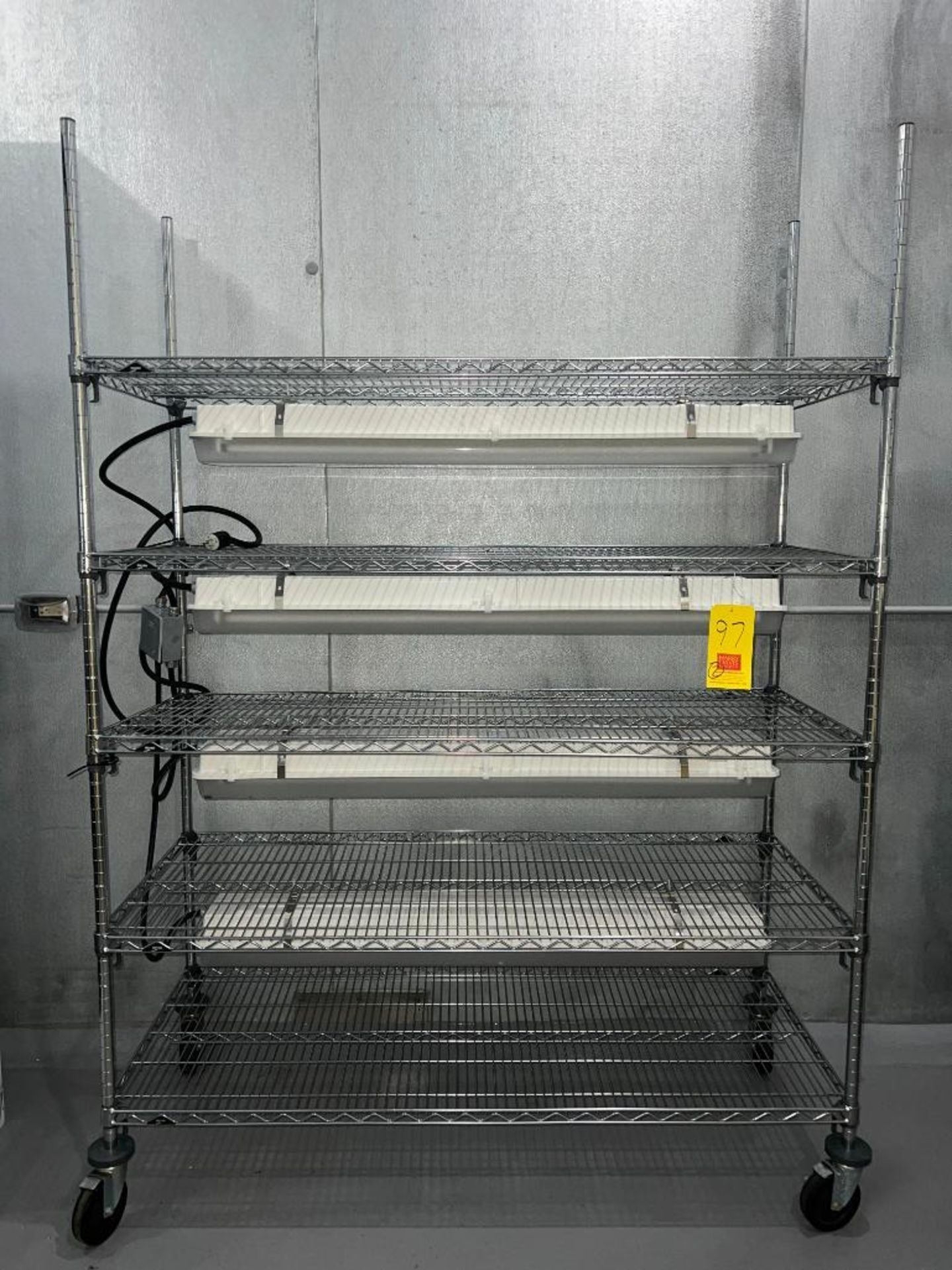S/S Mobile Racks with (4) Fluorescent Ballasts - Rigging Fee: $100