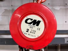CM Series 622 2-Ton Capacity Hoist with Jib - Rigging Fees: $25
