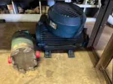 Motor S/S Positive Displacement Pump Head and Breaking Table (Parts Shelves Contents not Included)