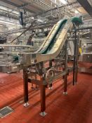 S/S Framed Elevator Conveyor with Drives - Rigging Fees: $1200