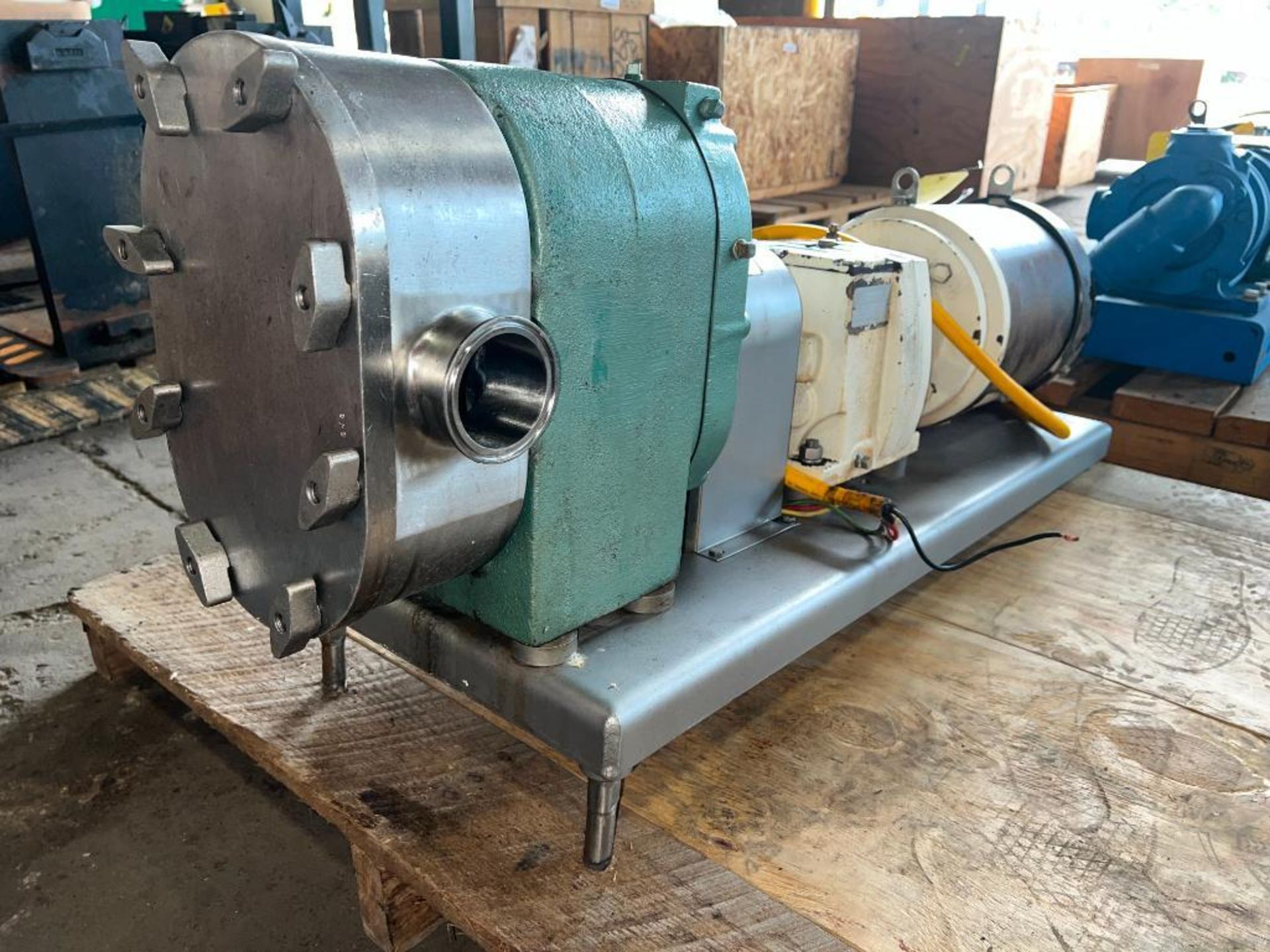 Positive Displacement Pump with Sterling Electric 7.5 HP 1,770 RPM Motor and 2.5" S/S Head , Clamp