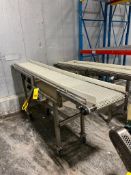 S/S Frame Product Conveyor with Drive, Mounted on Casters, Dimensions= 9' Length x 15" Width - Riggi