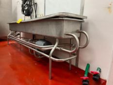 S/S COP Trough with Centrifugal Pump and Lid, Dimensions = 128" x 2' - Rigging Fee: $500