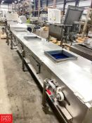 Gough Econ Portartable S/S 3-Station Belt Conveyor with Drive, Dimensions = 254" Length x 31" Width