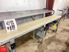 NCC S/S Framed Belt Conveyor , Dimensions = 120" Length x 18" Width with Drive and S/S Shelf - Riggi