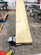 (2) Section NCC Belt Conveyor , Dimensions = 120" Length x 18" Width and 48" Length x 20" Width with