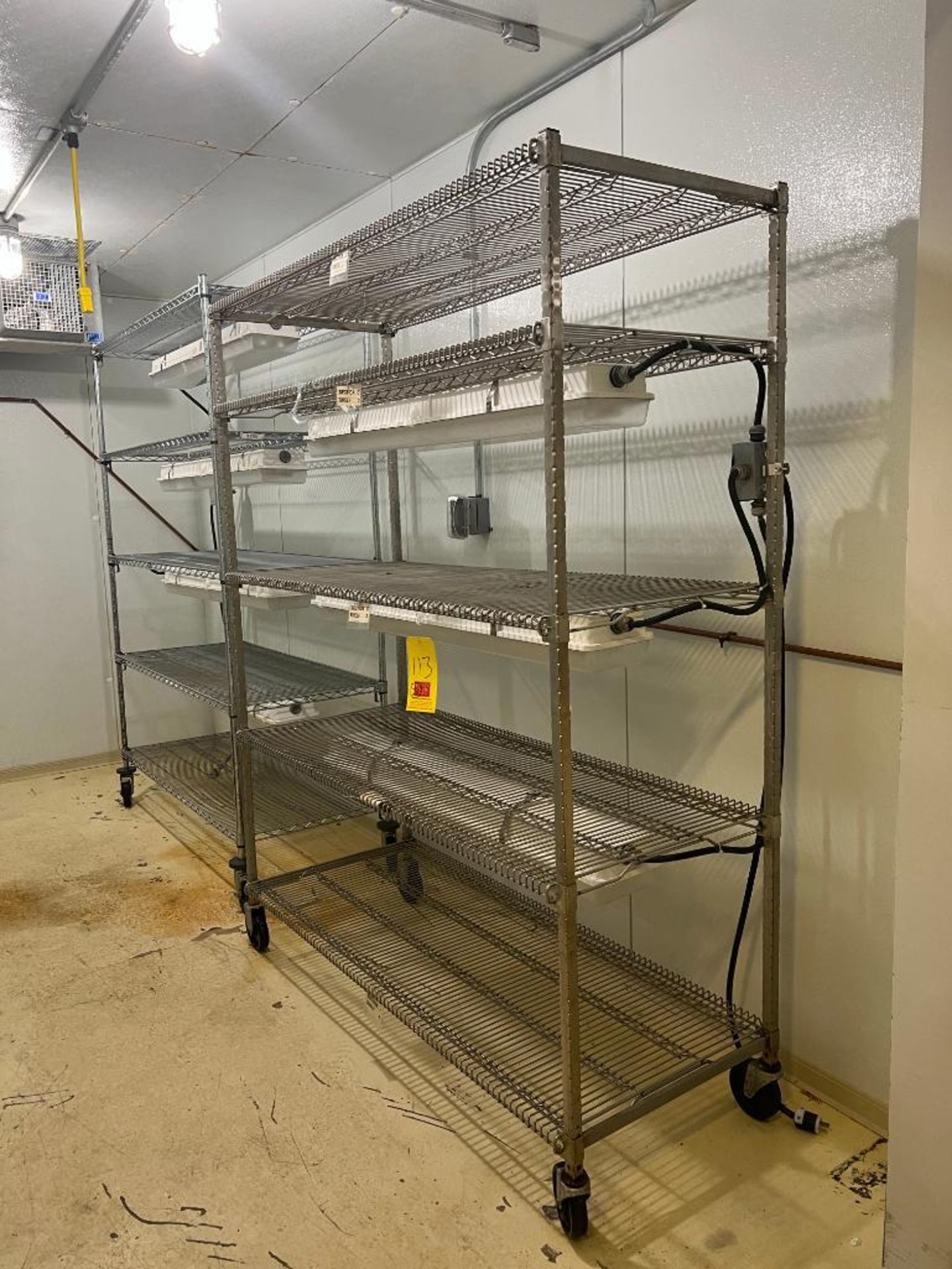 S/S Mobile Racks with (3) Fluorescent Ballasts - Rigging Fee: $100 - Image 2 of 2