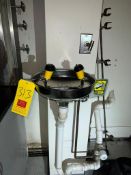 S/S Emergency Eye Wash Station - Rigging Fee: $100