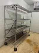 S/S Mobile Racks with (3) Fluorescent Ballasts - Rigging Fee: $100