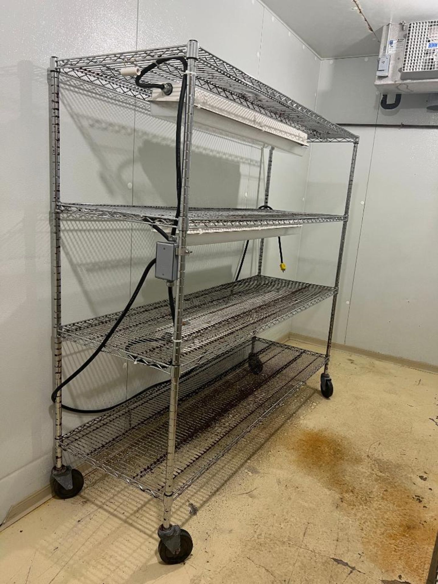 S/S Mobile Racks with (3) Fluorescent Ballasts - Rigging Fee: $100