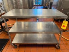 S/S Mobile Table with (2) Shelves, Dimensions= 46" Length x 2' Width