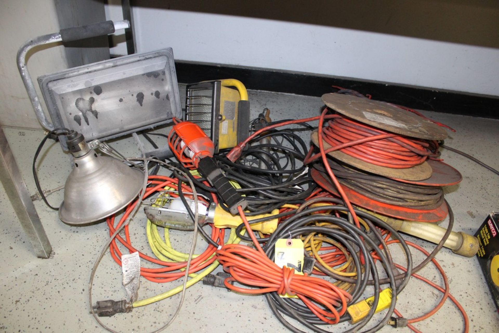 ASSORTED DROP LIGHTS & EXTENSION CORDS