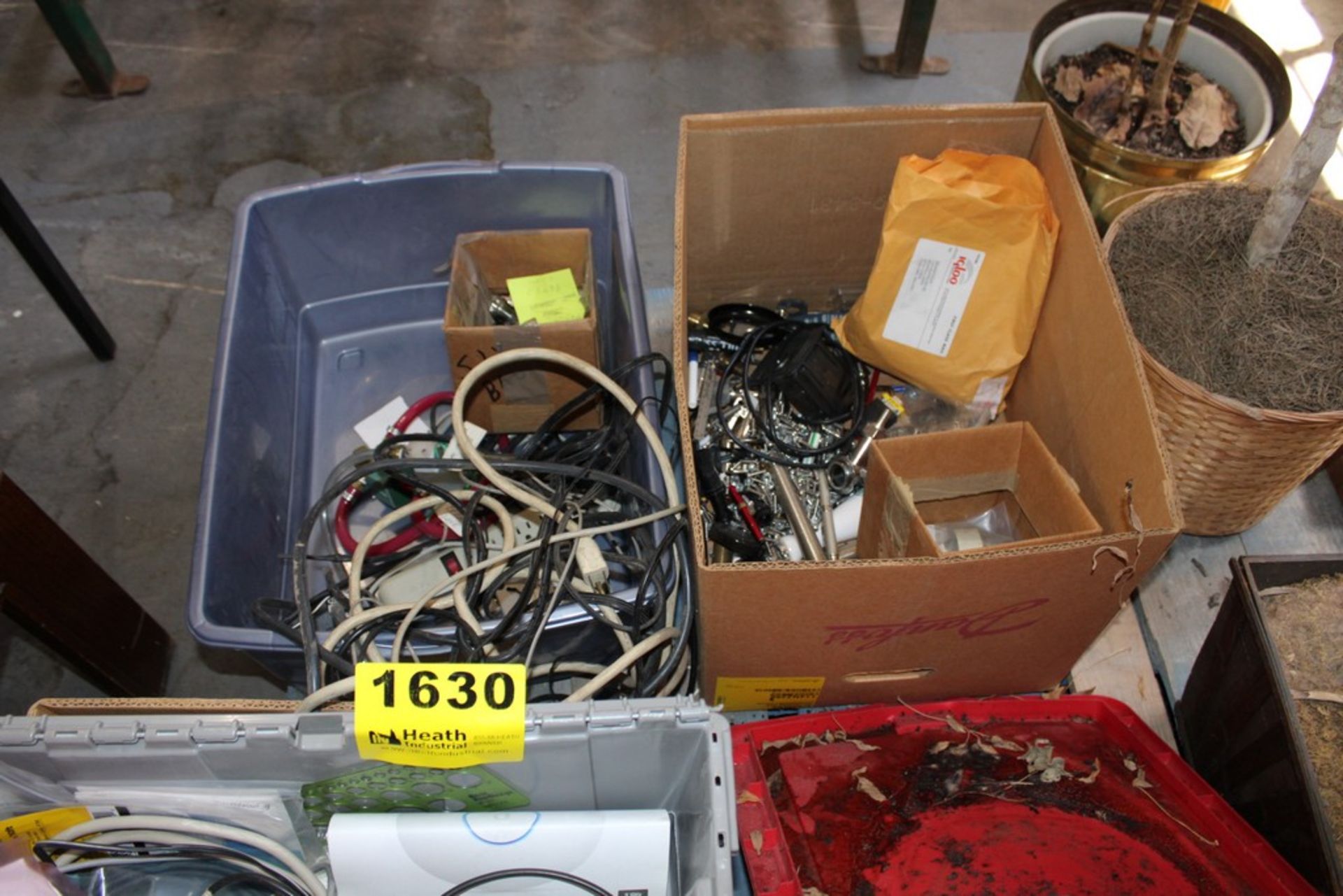 ASSORTED ELECTRICAL CORDS & ASSORTED PLANTS - Image 2 of 4