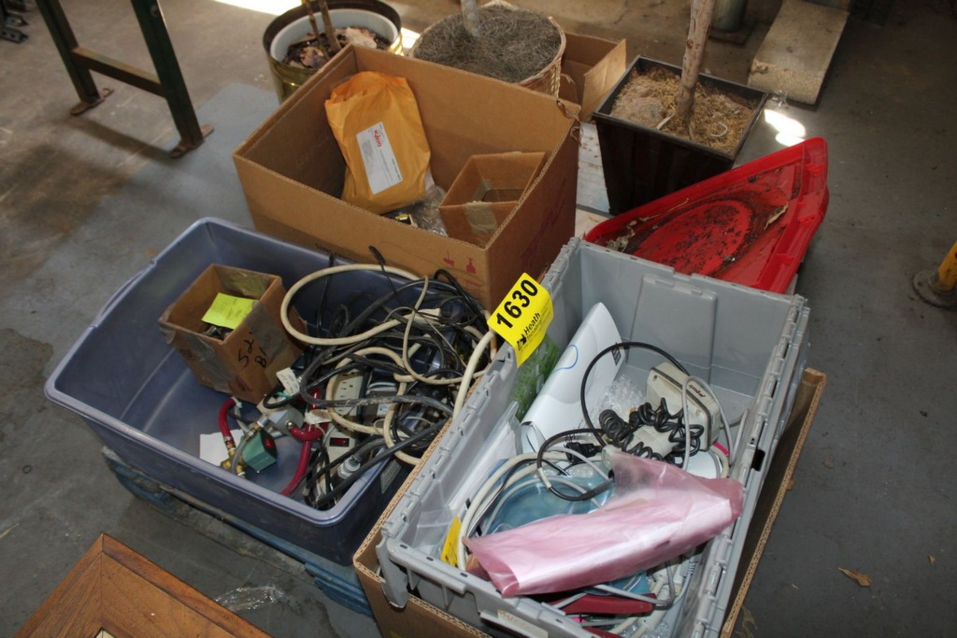 ASSORTED ELECTRICAL CORDS & ASSORTED PLANTS