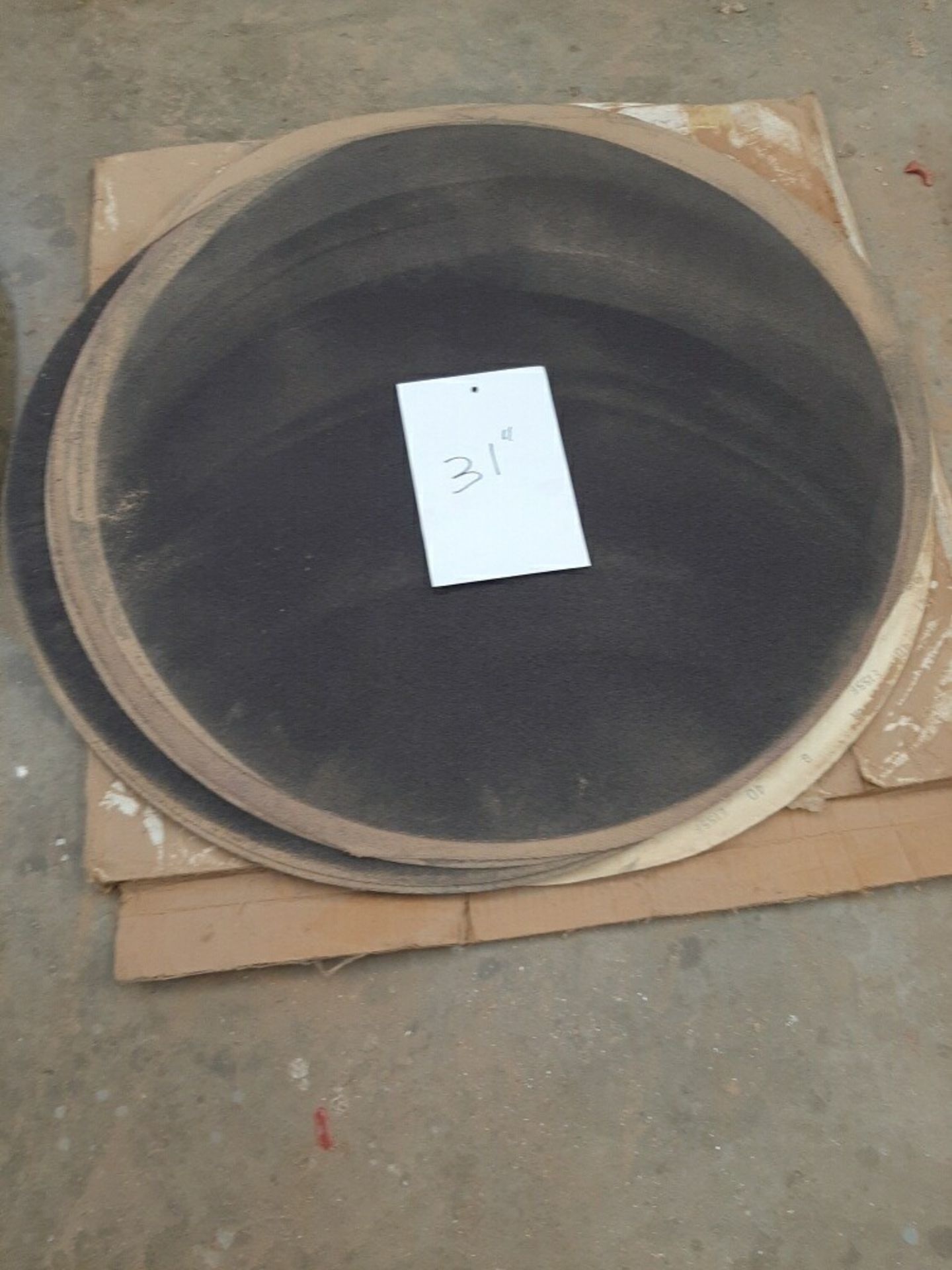 31" SANDING DISCS