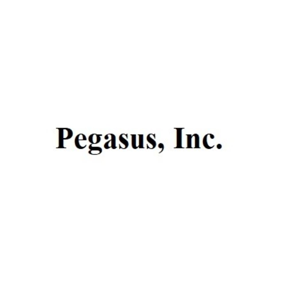 Pegasus, Inc.