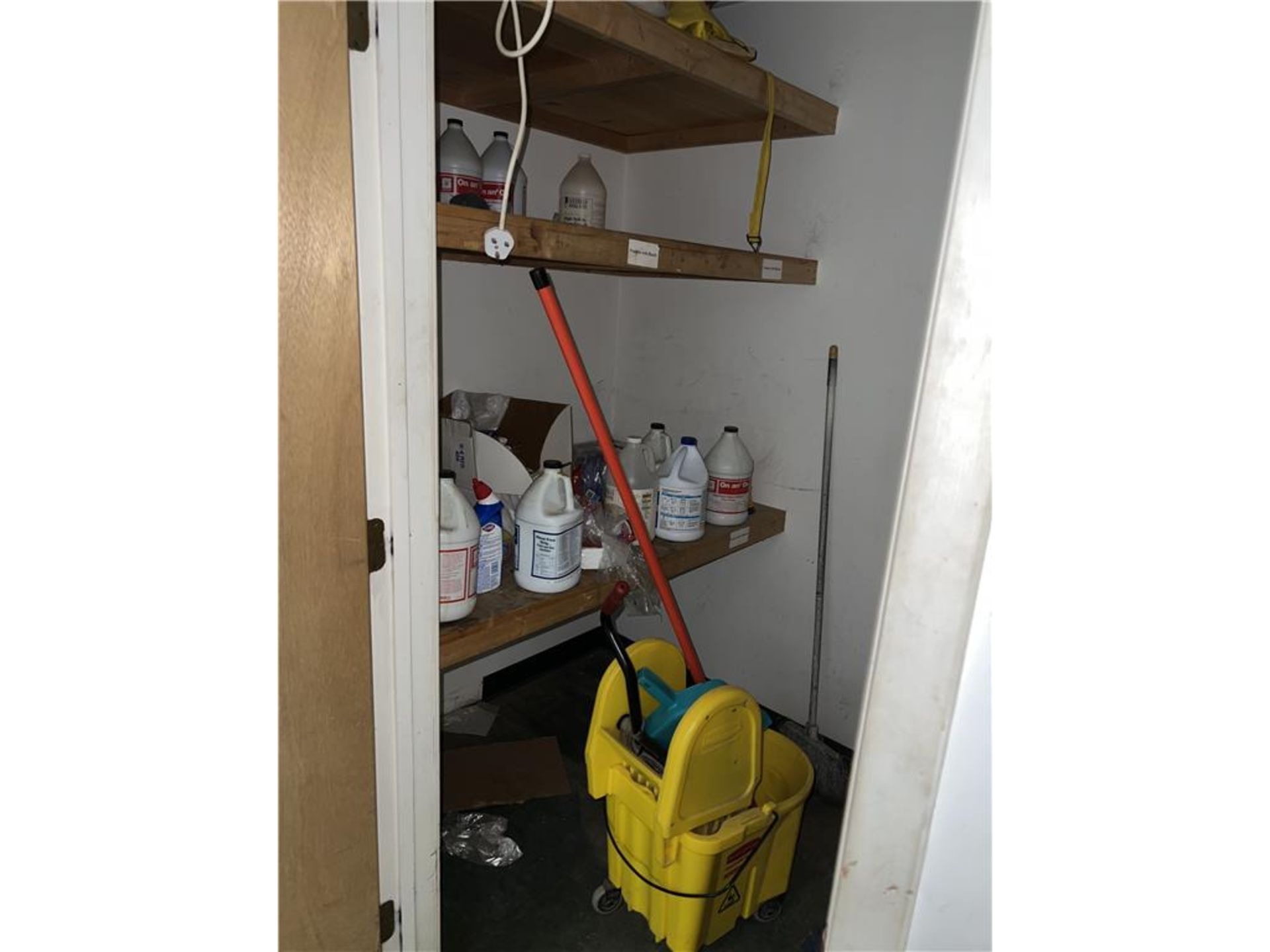 CONTENTS OF CLOSET: MISC. CLEANING SUPPLIES, MOP BUCKET & MOPS, DUST PAN