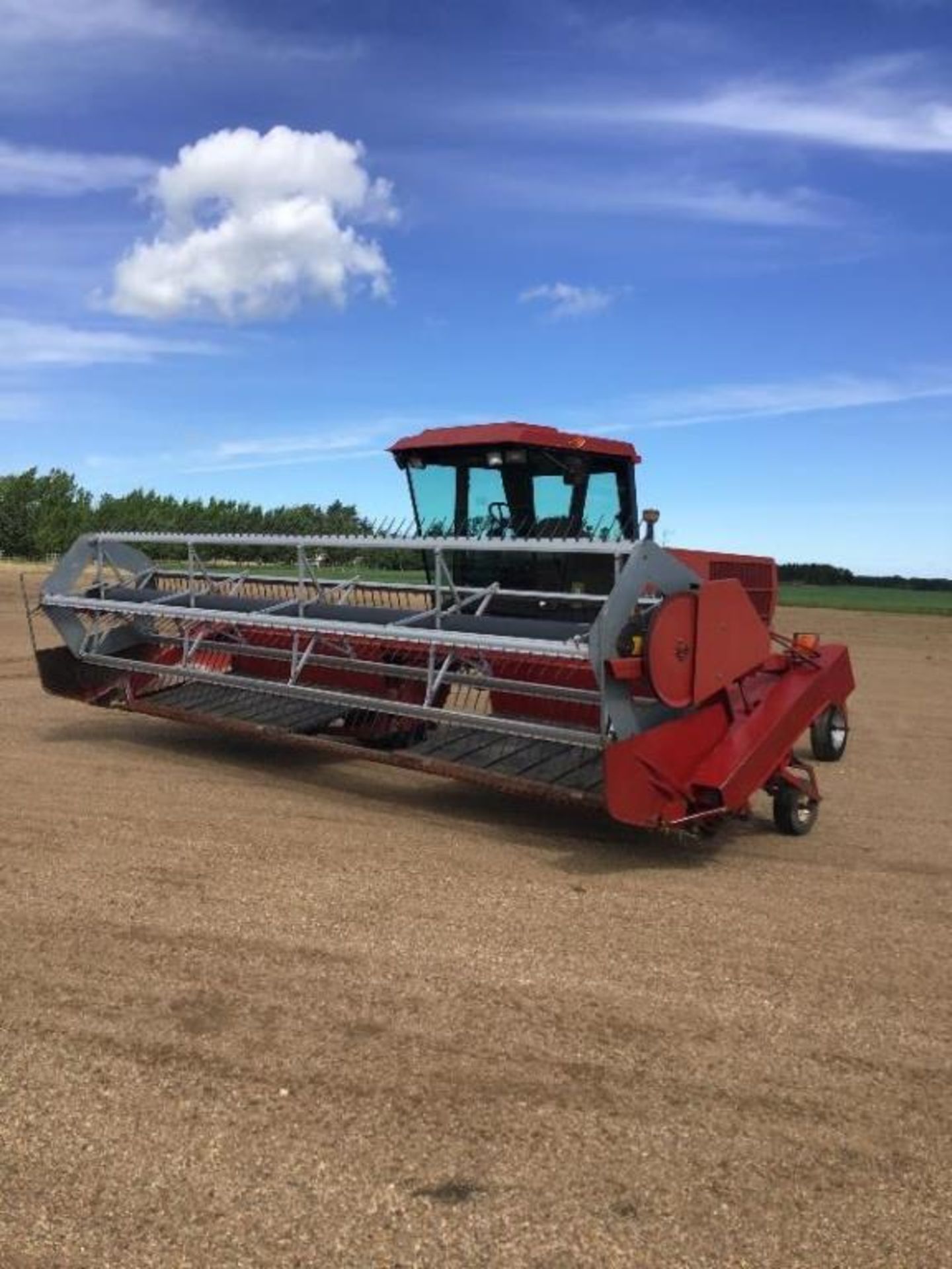 Case IH 8830 21.5Ft Swather Hydrostatic Drive, Gauge Wheels, hrs Unknown - Image 13 of 13