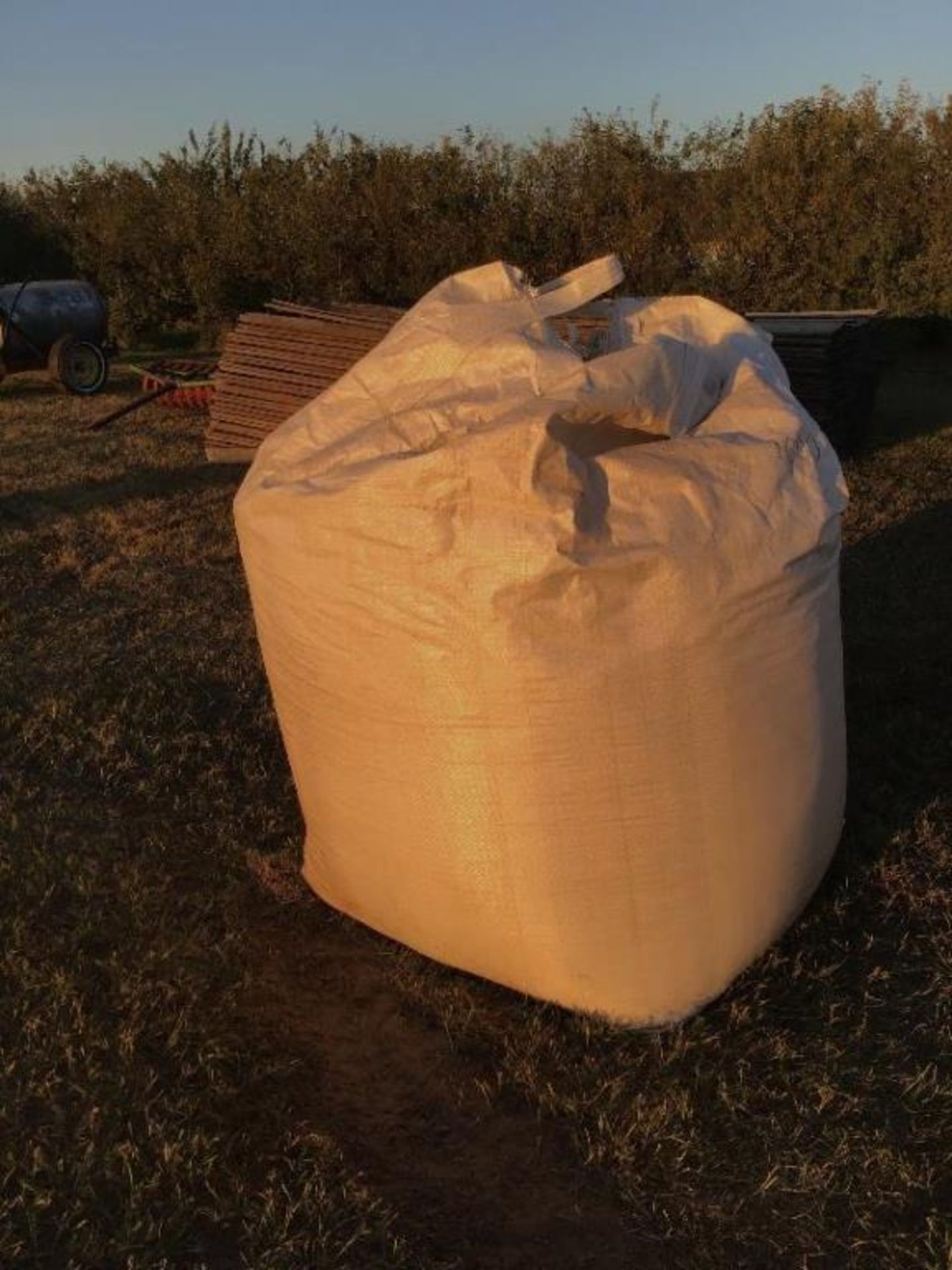 Bulk Bag w/Wood Shavings