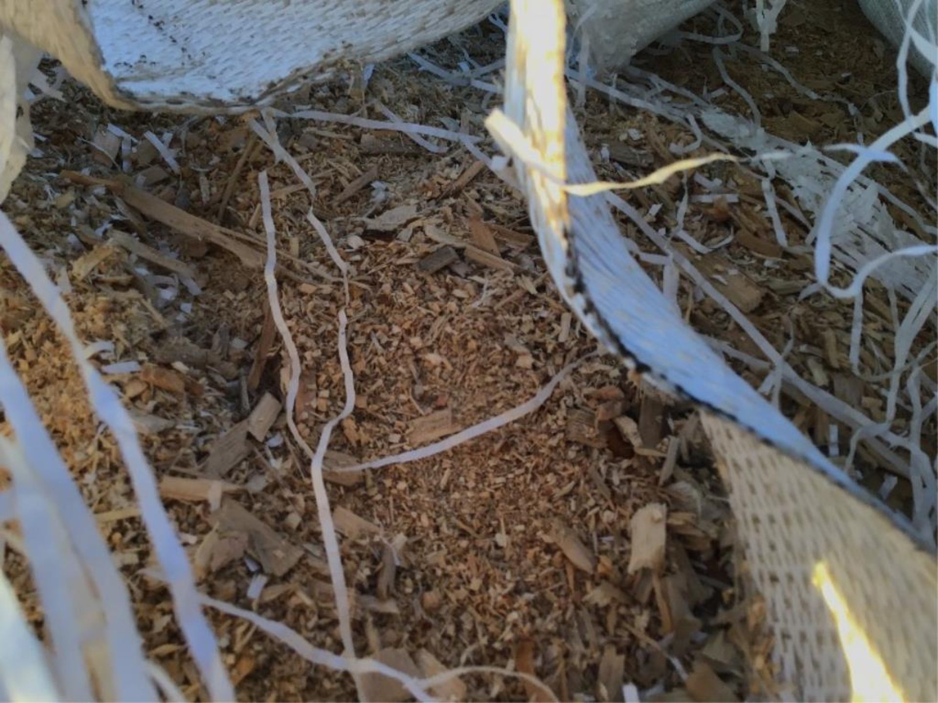 Bulk Bag w/Wood Shavings - Image 2 of 2