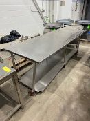 S/S Table with S/S Bottom Shelf, Table Top Dims.: Aprox. 96" L x 36" W, Mounted on Casters (INV#