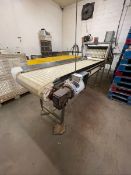 S/S OUTFEED CONVEYOR,APPROX. 102" L X 24" W, EQUIPPED WITH BALDOR 1/2 HP DRIVE MOTOR, 230/460 V(