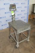 Fairbanks S/S Platform Scale,with Aprox. 28" L x 23" W S/S Platform, Mounted on S/S Portable