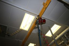 Knight 225 lbs. Capacity Pneumatic Overhead Hoist, with Hand Control (NOTE: Does Not Include Cross