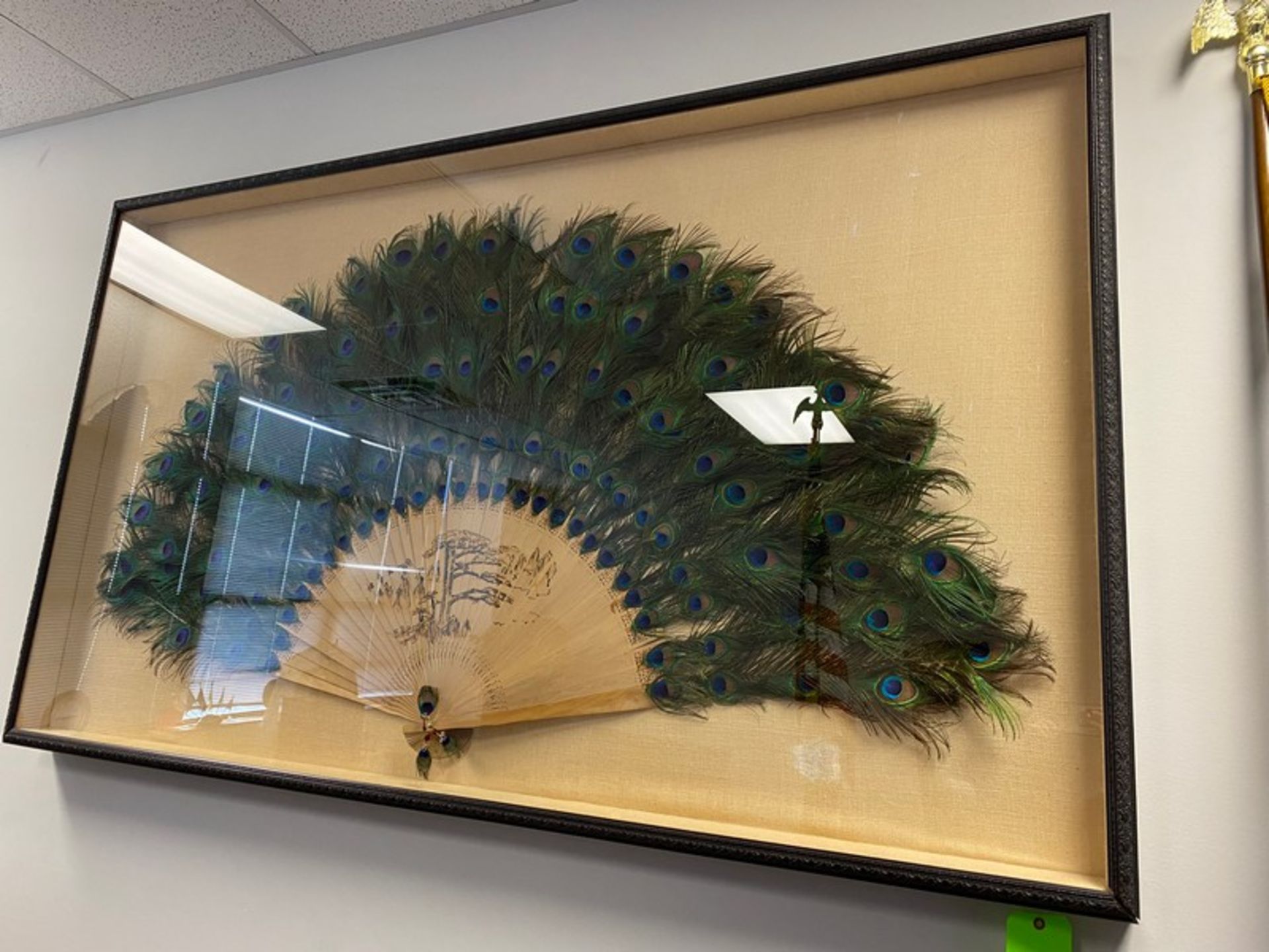 Oriental Peacock Fan Framed Art. 82"W x 4.5"D x 48" H (Elevator Handling Fee $20) (Located New - Image 12 of 12