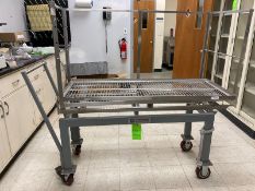 One(1) consolidated sterilizer Systems stainless Steel Cart with 2 shelves - cart 49"L+ handle x