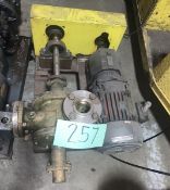 Positive Displacement Gear Pump, Gear Reduction Box and Chain Drive (LOCATED IN IOWA, Free RIGGING