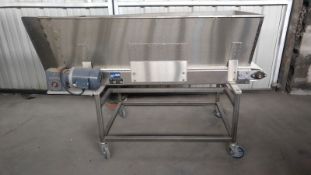 S/S Food Grade Plastic Belt Conveyor, 18" Wide x 72" Long x 32" High, Casters, 18" Side Rails (