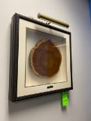 Wood Pacific Yew Trunk Section Art in Framed Window Box w/ overhead lamp. Silver plaque reads