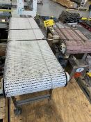 (2) SECTIONS OF DAIRY CONVEYOR,(1) 20" L X 16" W, (1) 5' L X 16" W (YOG157)(INV#86304)(Located @ the