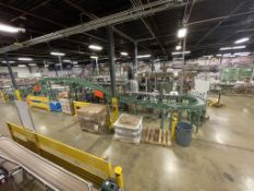 CASE CONVEYOR SYSTEMS ON PRODUCTION LINE (2019 MFG)(Loading, Handling & Site Management Fee: $1250.