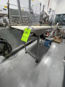 MECANICA OUTFEED CONVEYOR, MODEL MNA000228, APPROX. 21" W X 78" L BELT