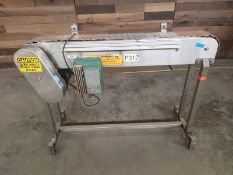 S/S Plastic Belt Conveyor, Aprox. 4-1/2" W x 48" L x 34" H, 115 V, Speed Control (Loading Fee $125