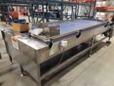 BD Briggs Aprox. 58" W x 14' Long x 36" H S/S Plastic Belt Accumulation Table, Model CONV G1,