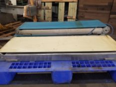 (3) Aprox. 13" Wide x 46" Long Belt Conveyors (Loading Fee $150) (Located Fort Worth, TX)