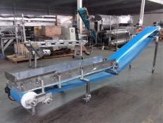 Econo Chesse Corp. 16" W x 189" L S/S Sanitary Incline Blue Belt Conveyor, S/N SS 102612 with 16"