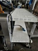 Dual 18" White Intralox Belt Conveyor Pack Off S/S Conveyor, Both Belts are 18" W x 72' Long, Table